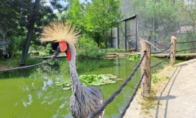 ZOO v Chorvátsku.. skvelý rodinný výlet plný zvierat a zážitkov